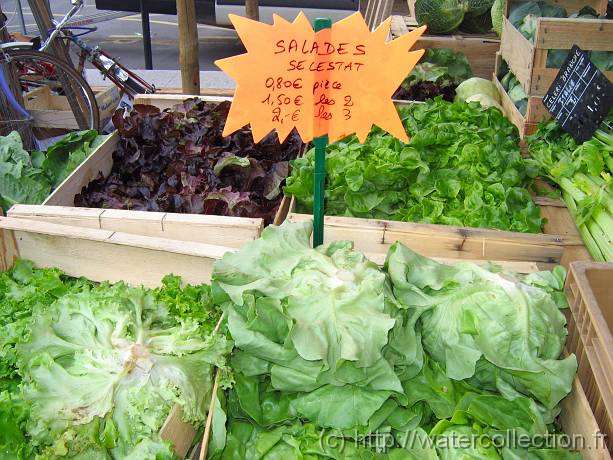 2007-05-12_08-24-22_Mai_37,6mm_1_100_eme_Canon PowerShot A95 